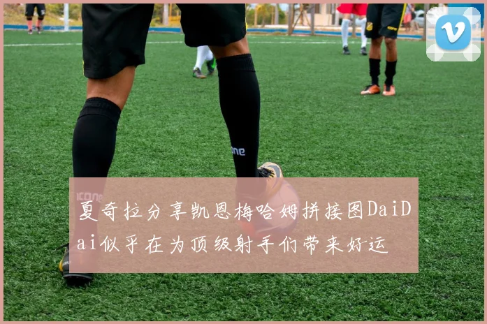 夏奇拉分享凯恩梅哈姆拼接图DaiDai似乎在为顶级射手们带来好运