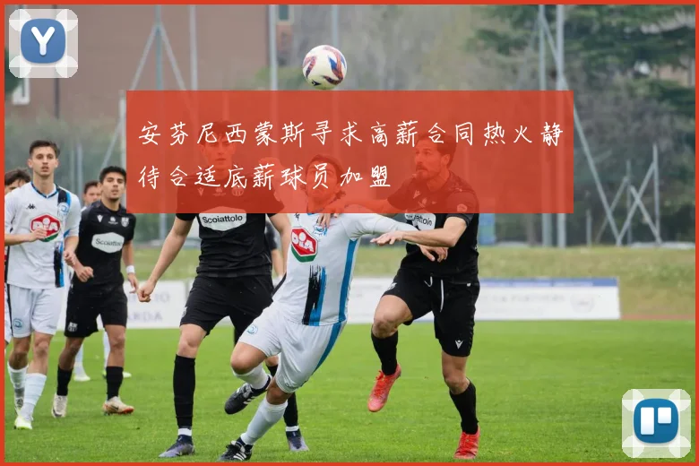安芬尼西蒙斯寻求高薪合同热火静待合适底薪球员加盟