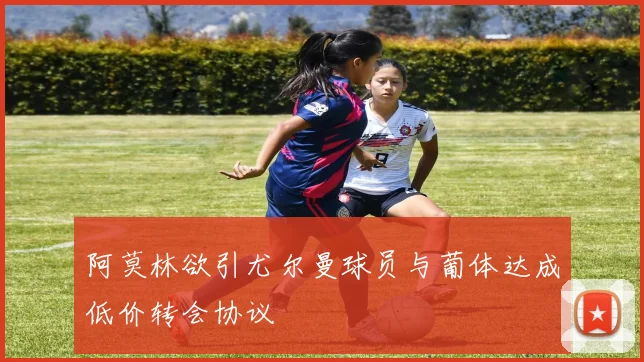 阿莫林欲引尤尔曼球员与葡体达成低价转会协议
